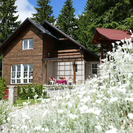 Chalet House